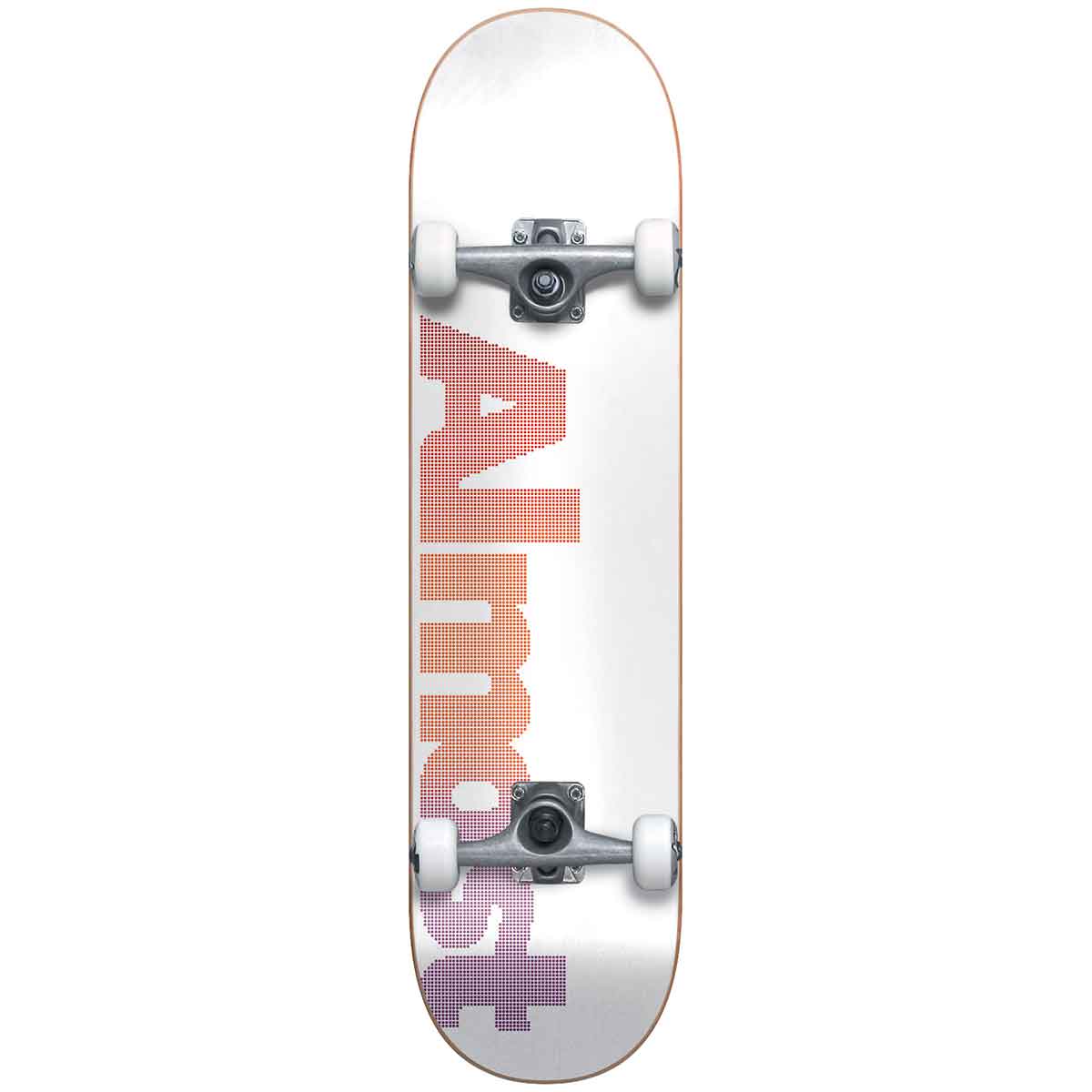 Almost Dot Logo First Push Complete Skateboard - Multi 7.75x31.2