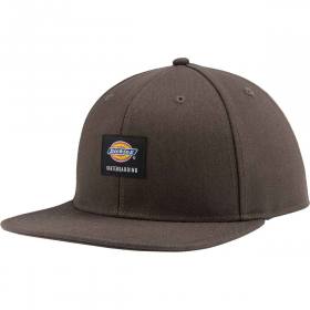 Dickies Skate Flat Bill Snapback Hat - Mushroom