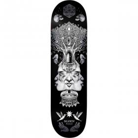 8.5x32 Birdhouse Shawn Hale Gateway Deck