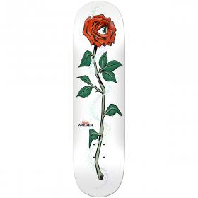 8.12x31.38 Real Kyle Walker Iris Deck