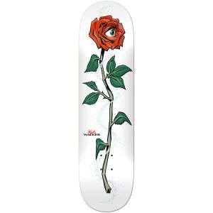 8.12x31.38 Real Kyle Walker Iris Deck