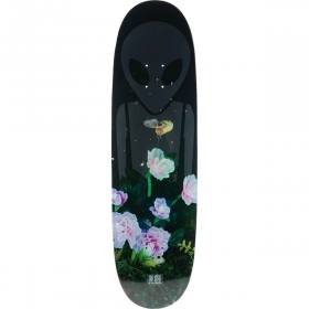 9x32 Alien Workshop Sammy Montano Midnight Snack Shaped Deck