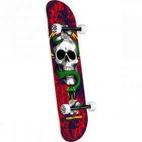 Powell Peralta Skull & Snake Birch Complete Skateboard - Red/Navy 7.75x31.08
