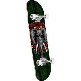 Powell Peralta Mike Vallely Elephant Birch Complete Skateboard - Green 7.5x30.7
