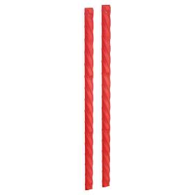 Slappy Trucks Rails - Red Lines 13,5"