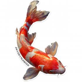 Jacuzzi Unlimited Skateboards Koi Sticker