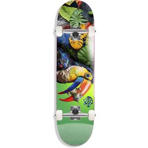 Push Toucan 1st Push Complete Skateboard - Green 8x31.6