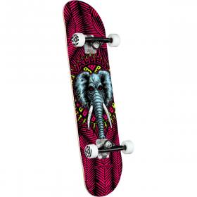 Powell Peralta Mike Vallely Elephant Birch Complete Skateboard - Pink 8.25x31.95