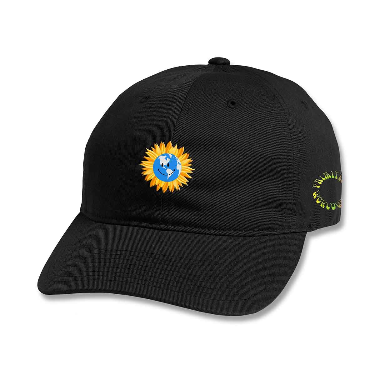 skateboard dad hats