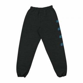 santa cruz sweatpants