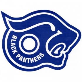 Shorty's Black Panther Sticker - 7" Assorted Colors
