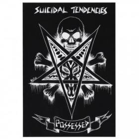 Suicidal Skates - Suicidal Tendencies Possessed To Skate Sticker - 4.25" Black